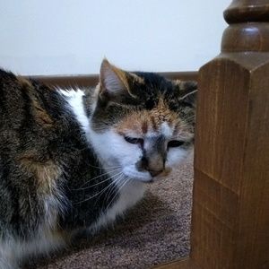 Meet your Posher, Christina